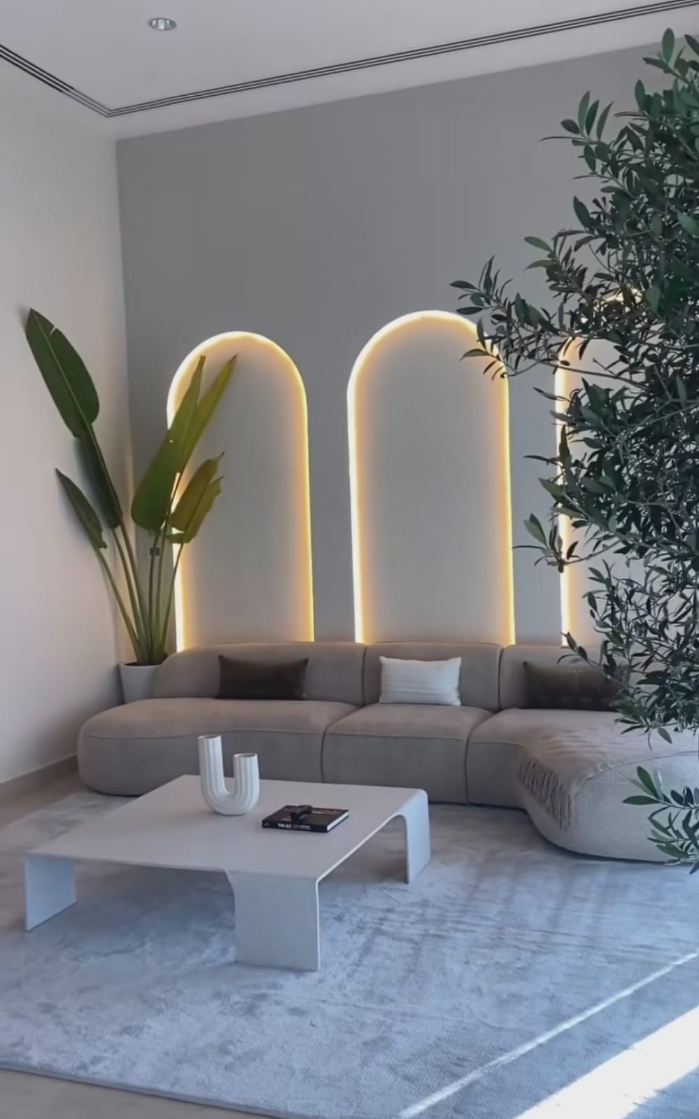 WhatsApp Image 2026-02-14 at 11.41.03 AM