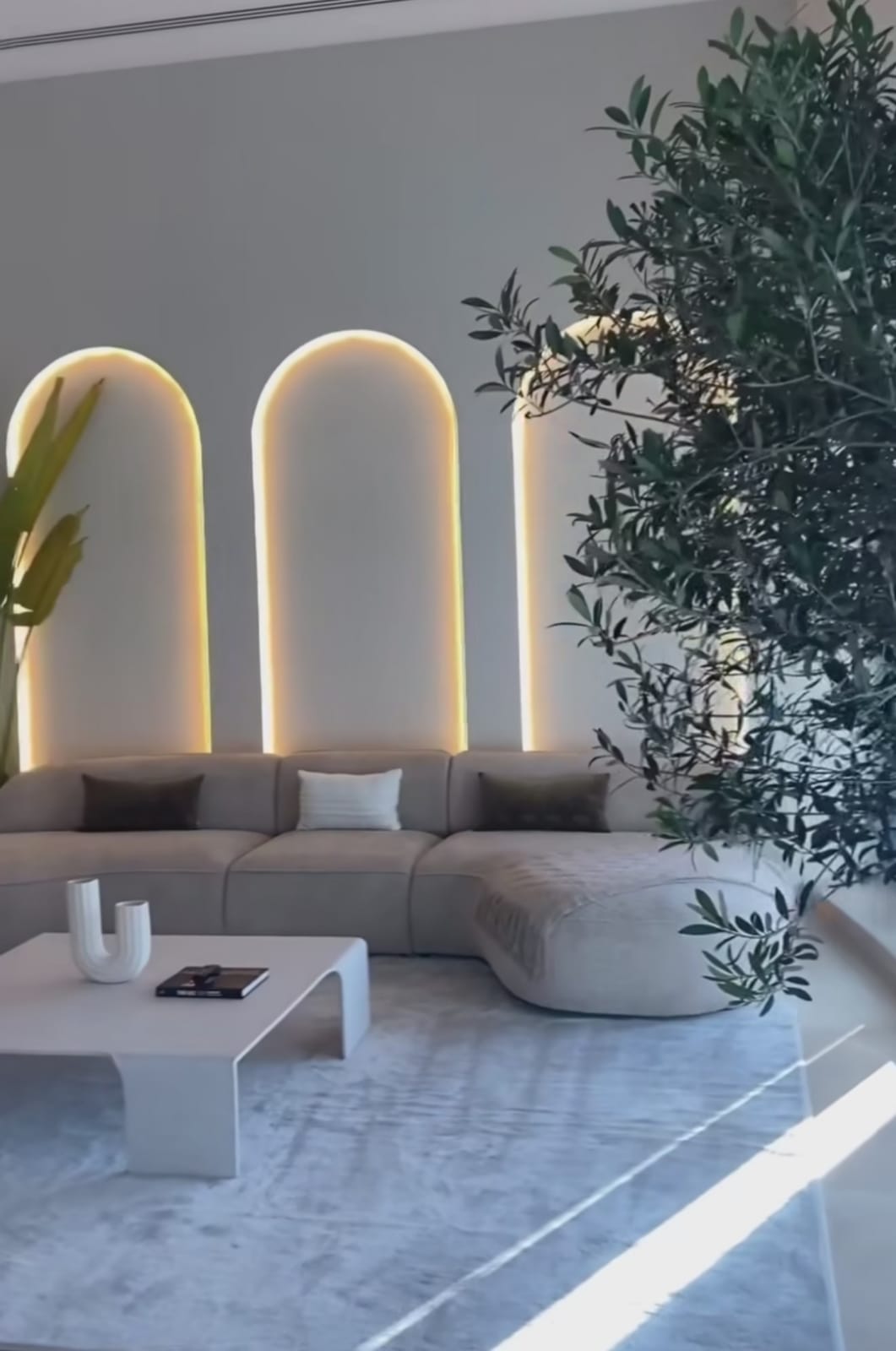 WhatsApp Image 2026-02-14 at 11.41.04 AM